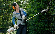 Long and quiet: Electric long reach hedge trimmers