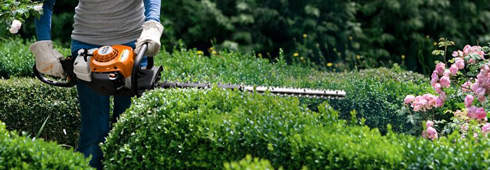 For better results: STIHL hedge trimmers and long reach hedge trimmers
