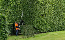 You can tackle anything with these: The petrol long reach hedge trimmers