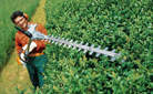 Petrol long reach hedge trimmers with long shaft
